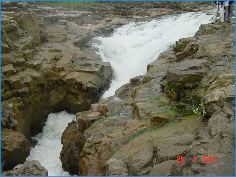 DSC01100