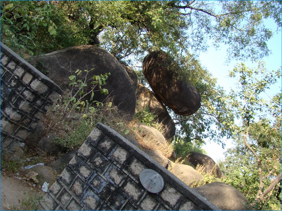 DSC01010