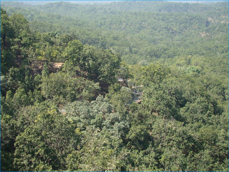 DSC01194