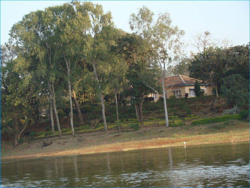 DSC01210