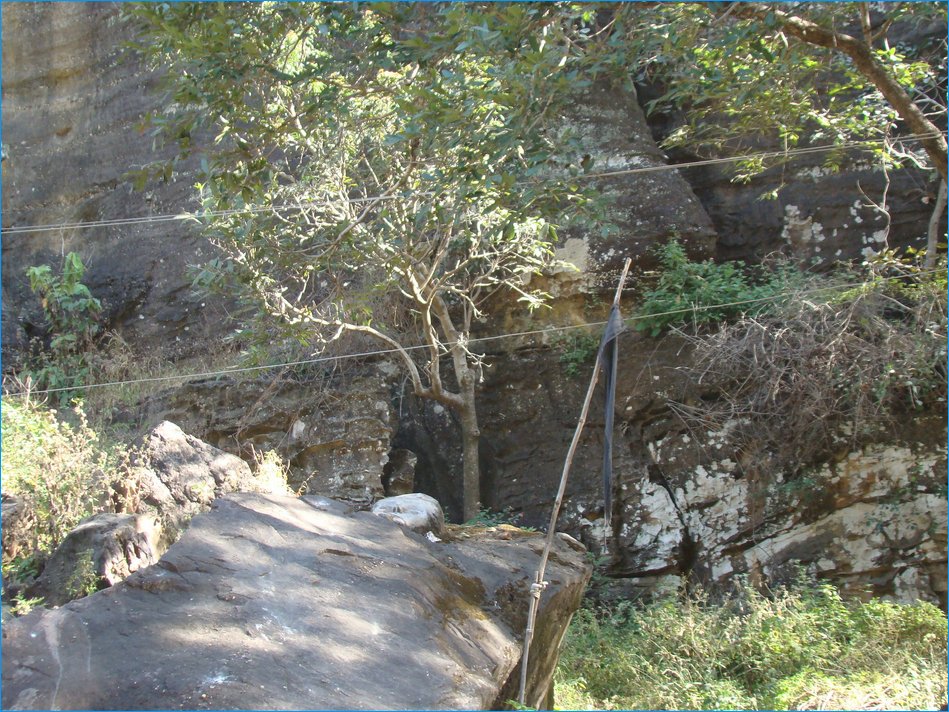 DSC01236