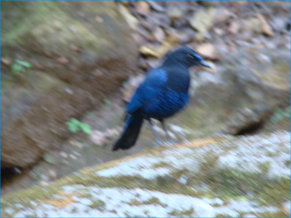 DSC01248