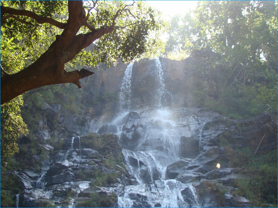 DSC01267
