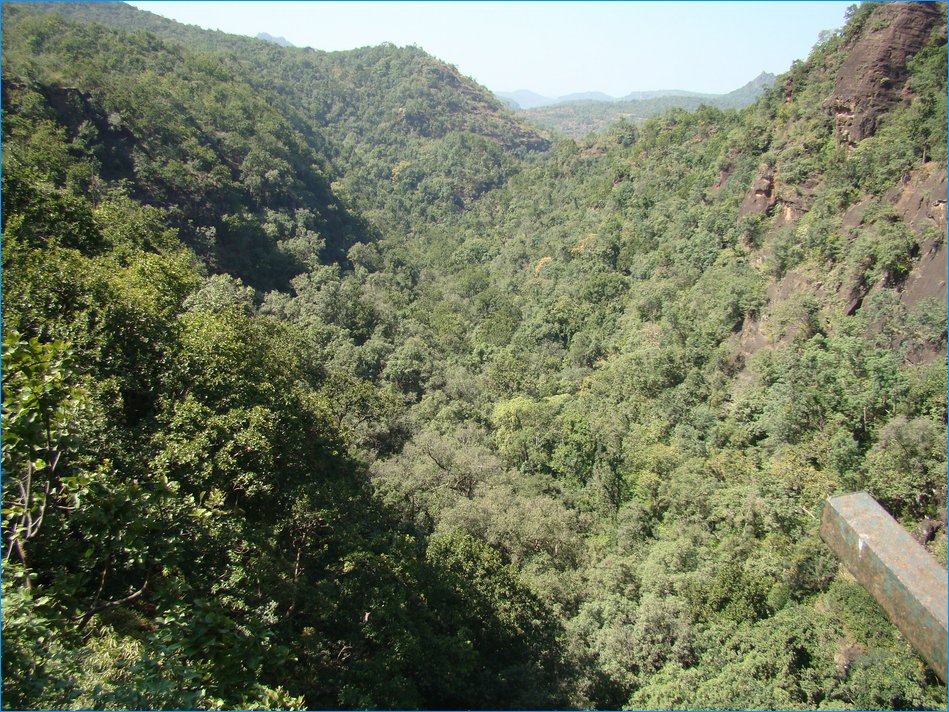DSC01283