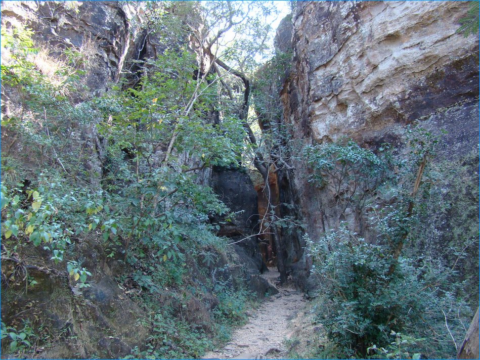 DSC01284