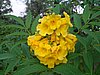 DSC01231