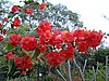 DSC01232