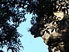 DSC01247