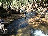 DSC01254
