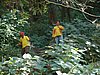 DSC01266