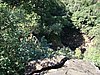 DSC01281