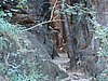 DSC01285