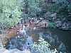 DSC01302