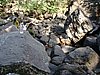 DSC01334