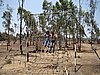 DSC00736