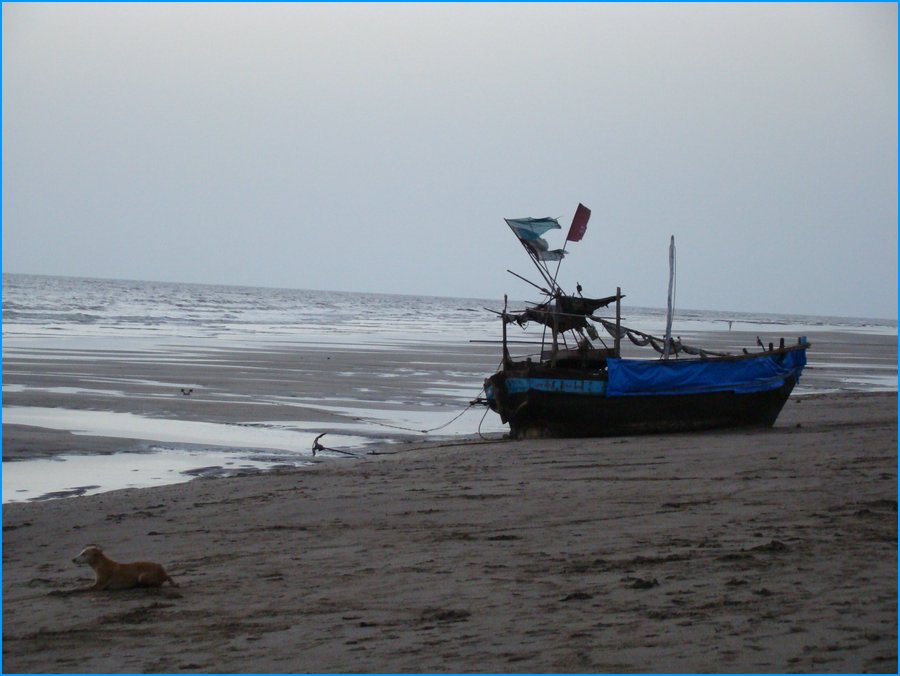 DSC00819