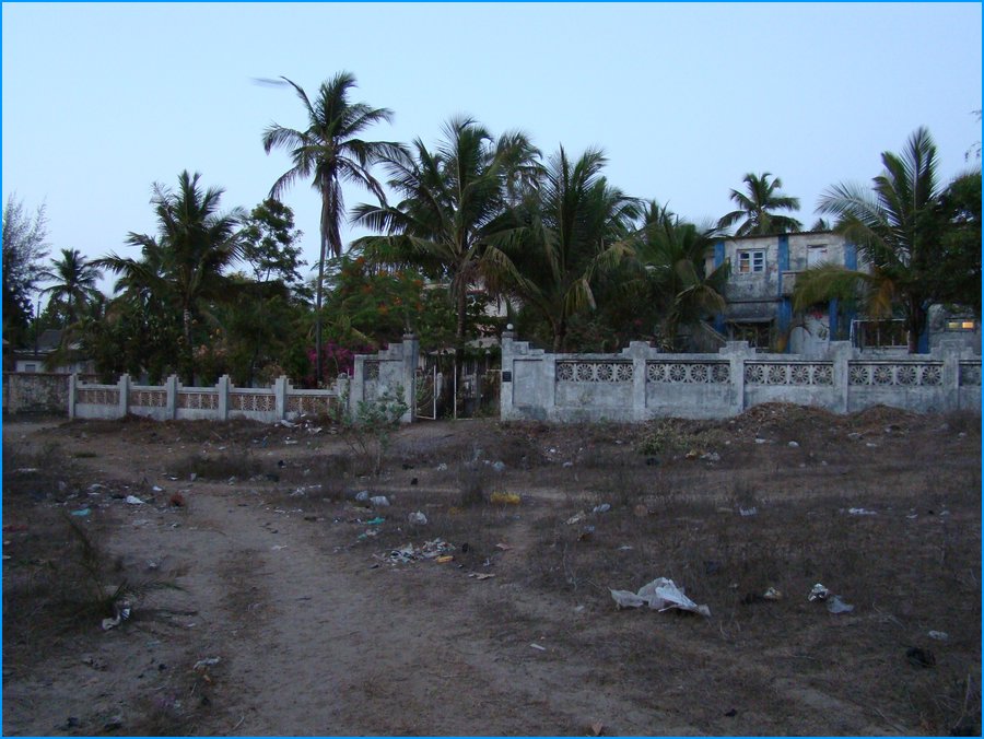 DSC00822