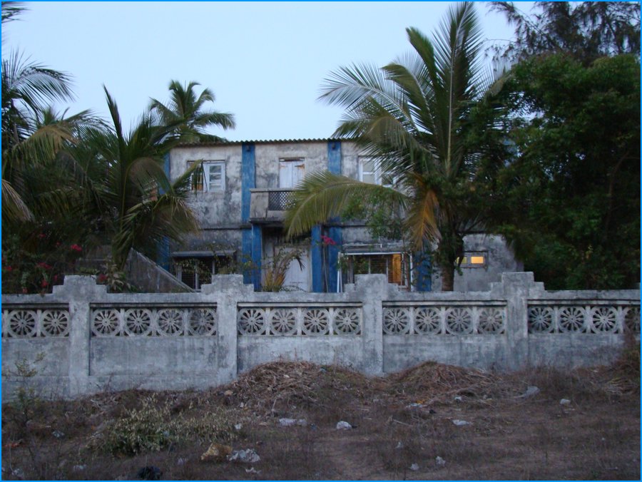 DSC00823
