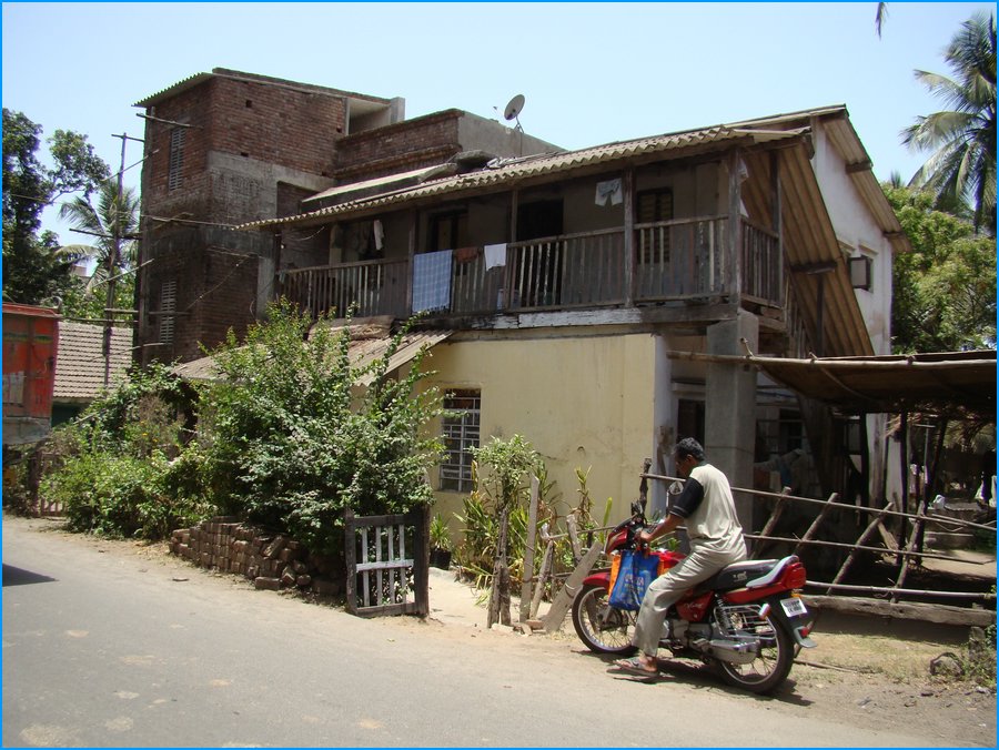 DSC00831