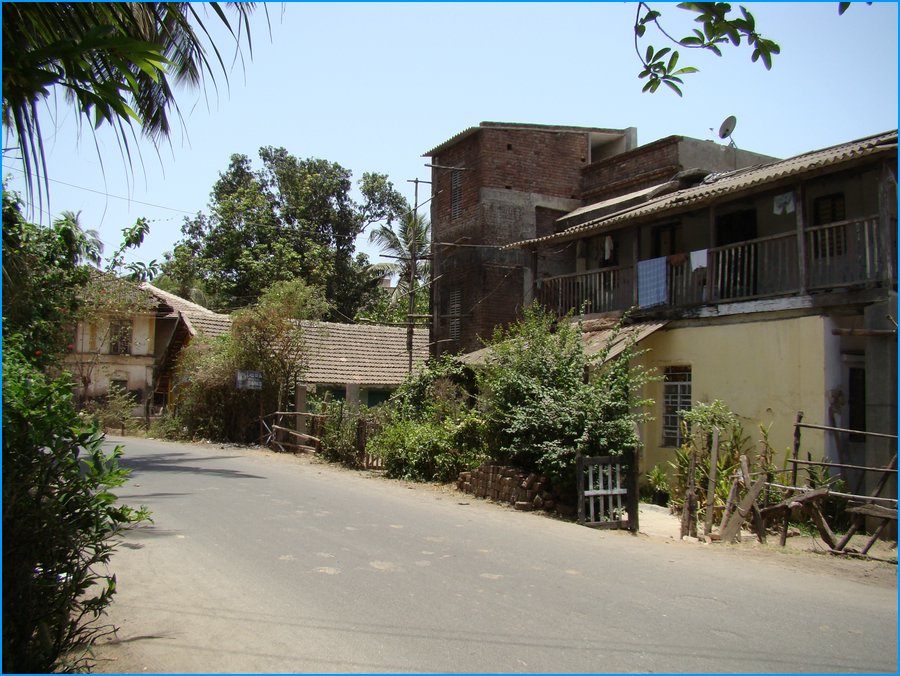 DSC00832