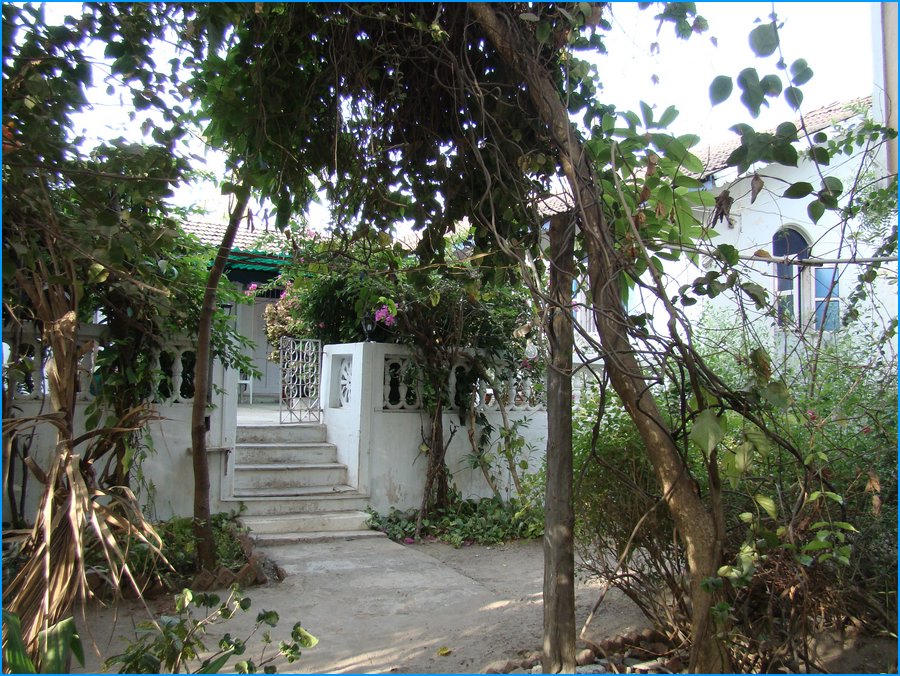DSC00839