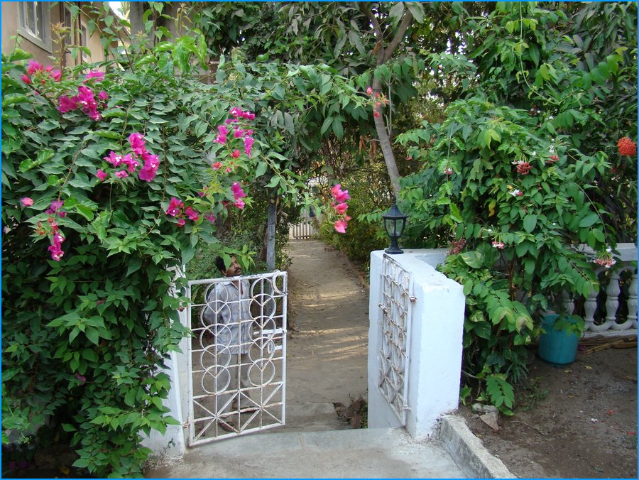 DSC00842