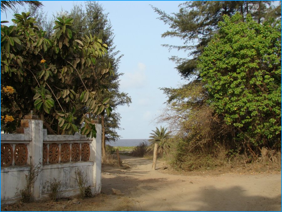 DSC00845