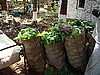 DSC00749