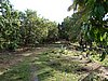 DSC00756