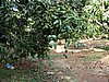 DSC00766