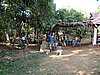 DSC00771