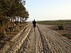 DSC00786