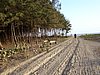 DSC00787