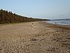 DSC00788