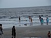 DSC00810