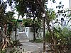 DSC00839