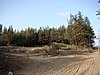 DSC00846