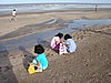 DSC00852