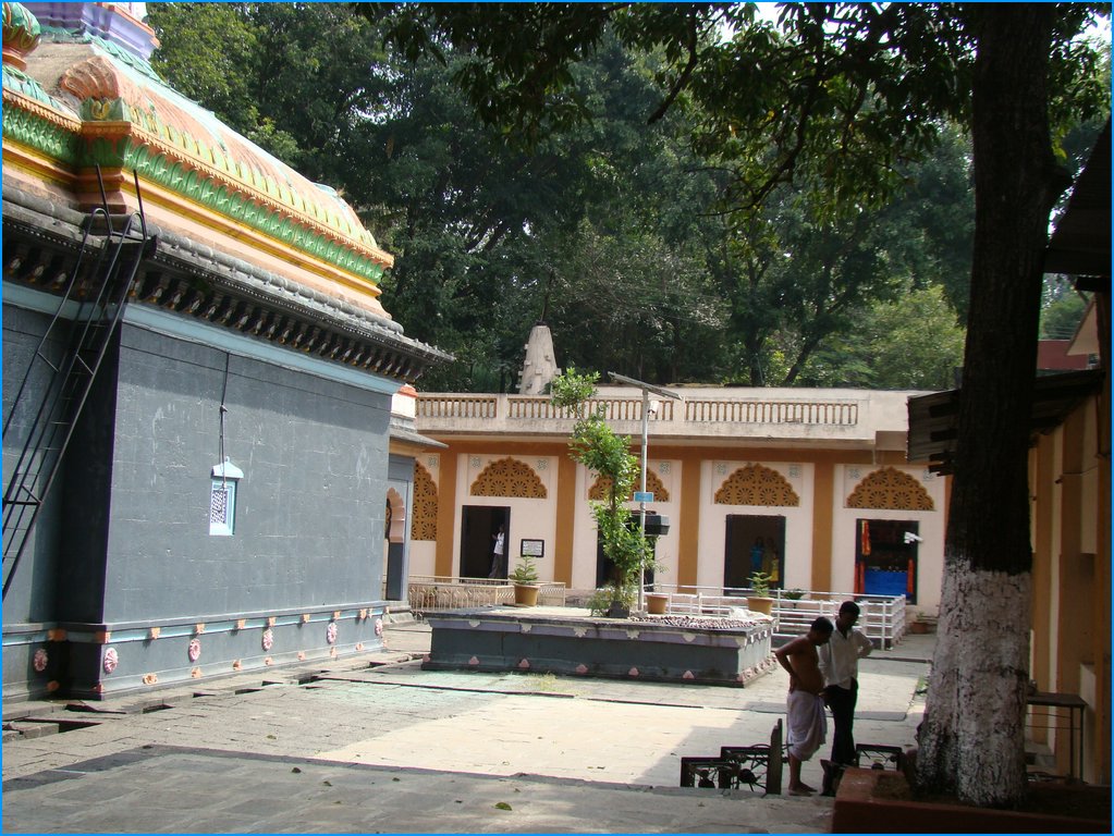 DSC01372