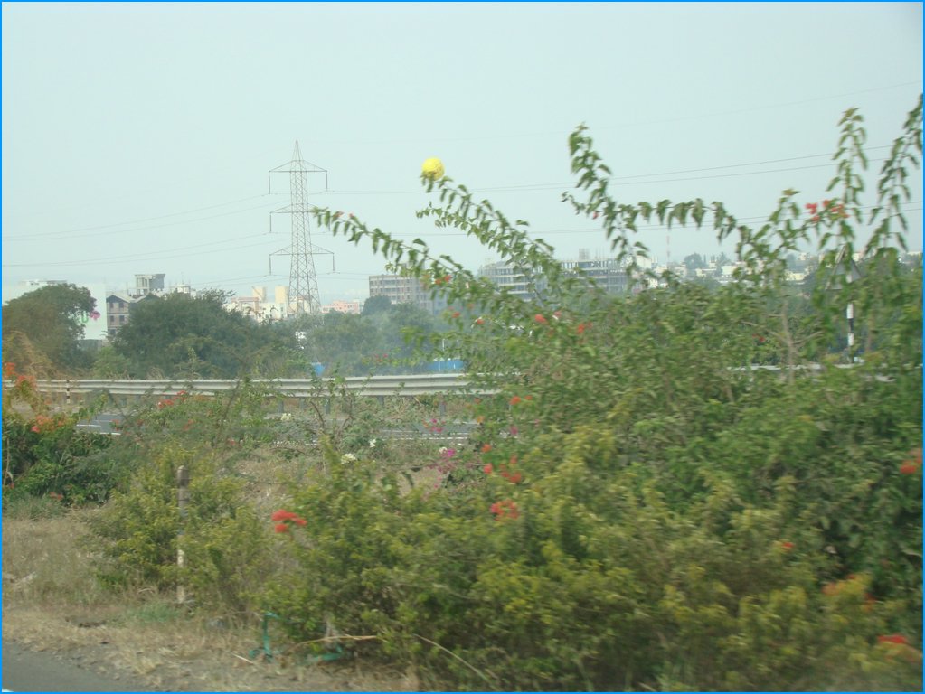 DSC01402