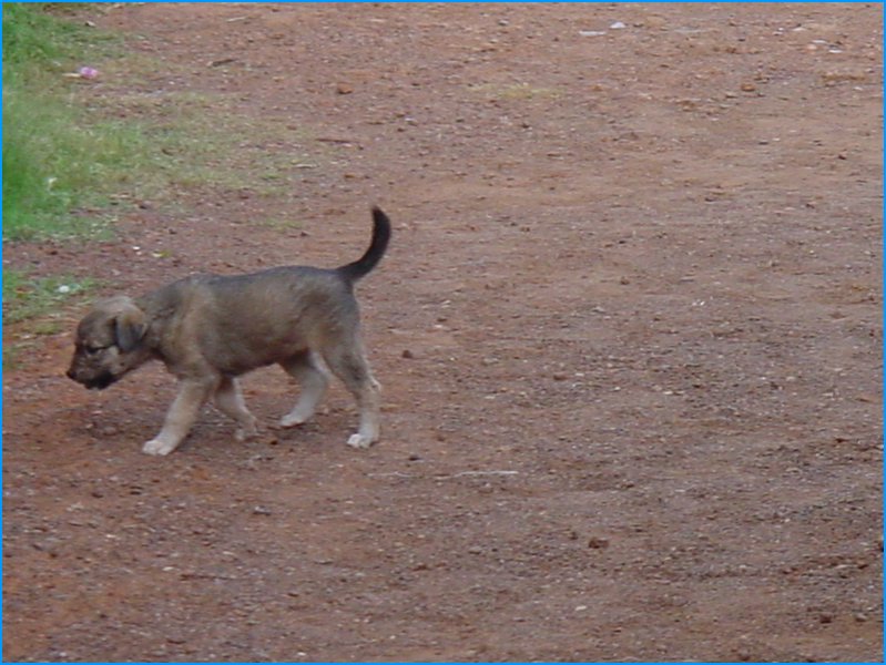 Panhala - 034 - 24-05-2007 4-51-45 PM